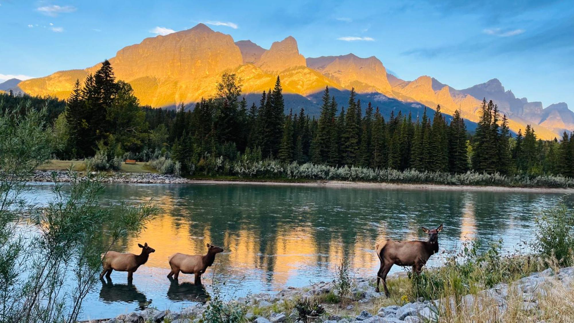 Unit #204 Cozy Mountain View 2Br In Canmore Downtown Bagian luar foto